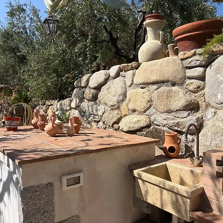 Relax In Campagna A Due Passi Dal Mare Olivo *